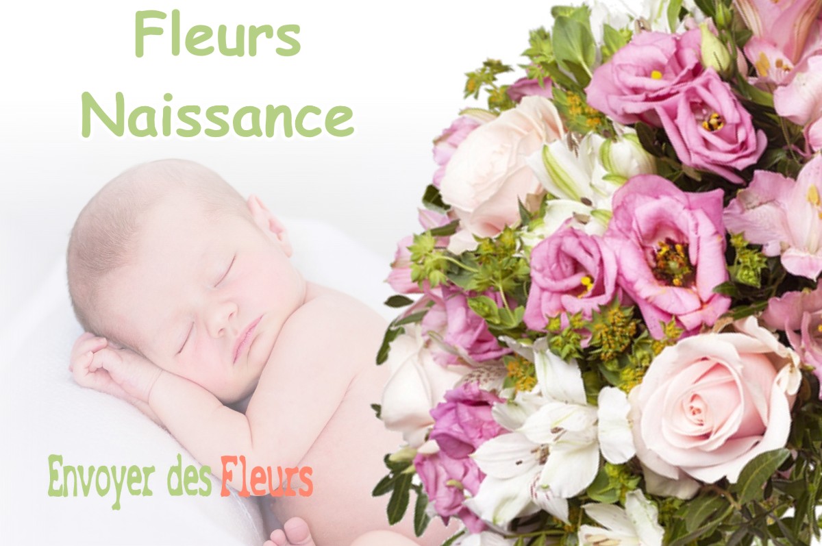 lIVRAISON FLEURS NAISSANCE à DOYE