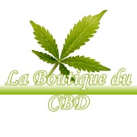 LA BOUTIQUE DU CBD DOYE 